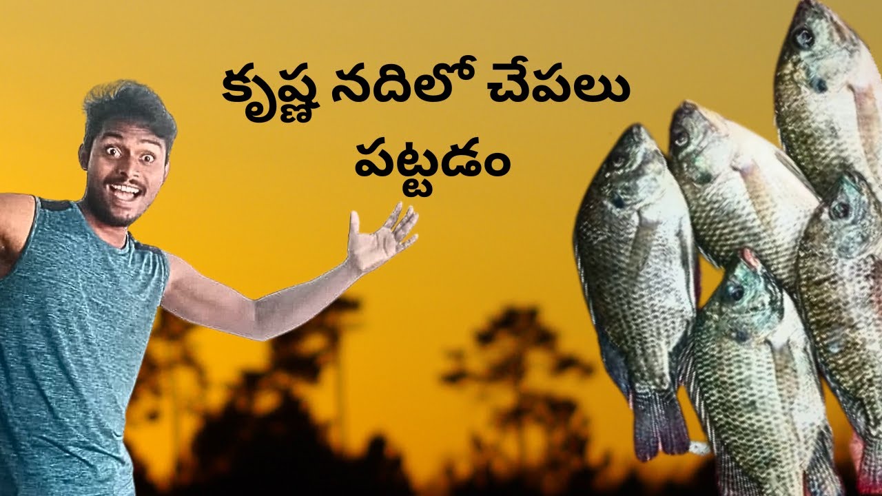 fish hunting in Krishna River. fish hunting. 