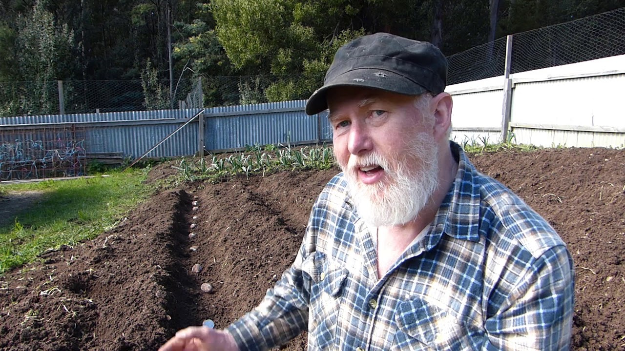 The ESSENTIAL crop for SELF-RELIANCE