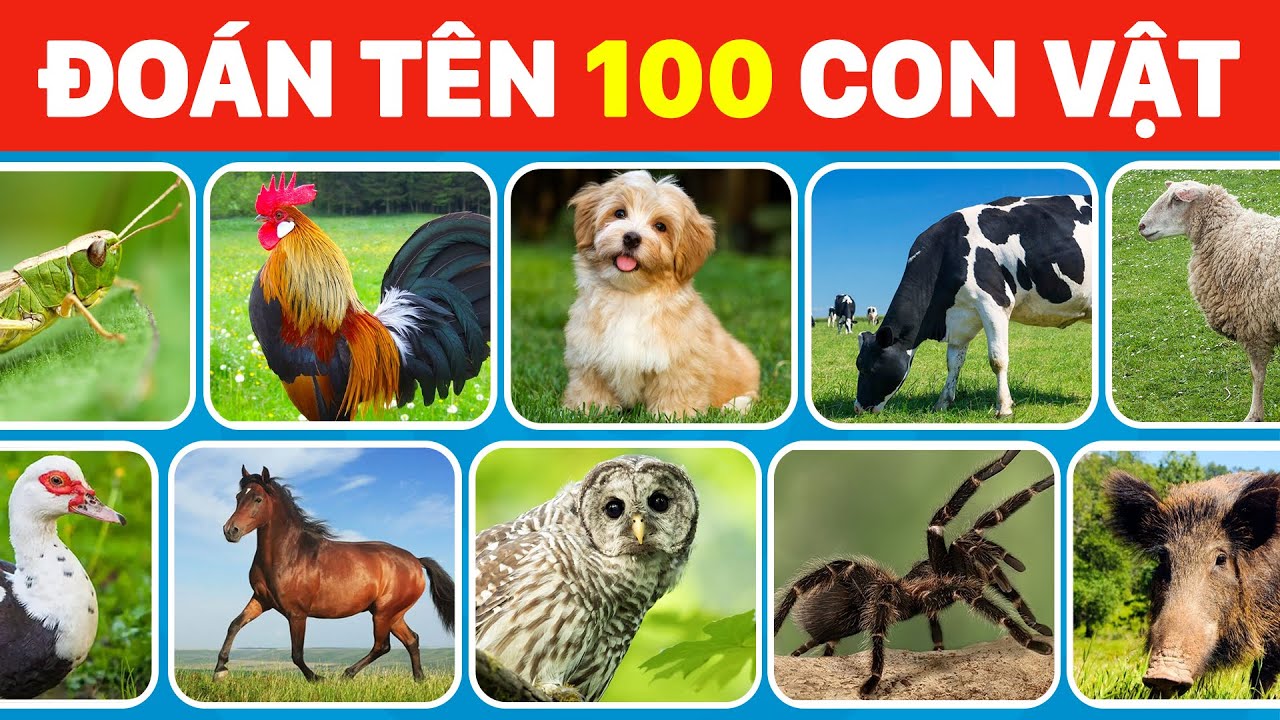 Thử Thách Đoán Tên 100 Con Vật Trong Nông Trại - Chỉ 3% Người Thông Minh Mới Trả Lời Đúng Hết