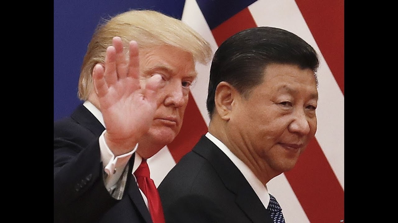 【杨建利：博明对美国对华政策颇有影响】11/6 #焦点对话 #精彩点评