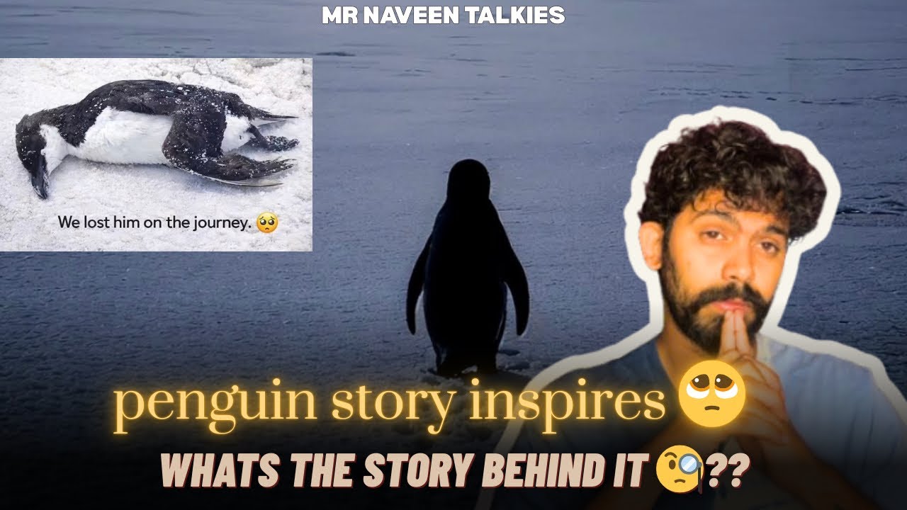 The Penguin Who Chose to Walk Alone | Sometimes You Grow by Walking Alone 