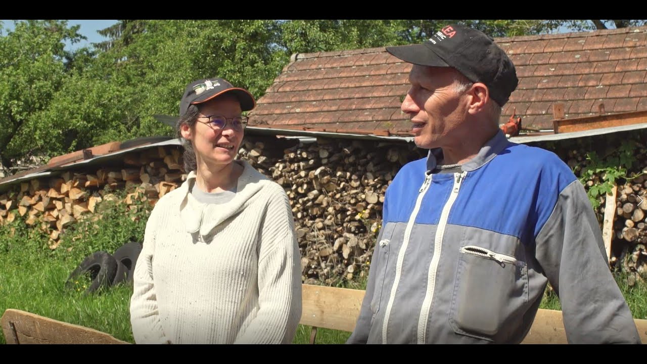 Préparation au vêlage des vaches laitières - TARRISSEMENT A LA NAISSANCE DU VEAU - Bonnes pratiques