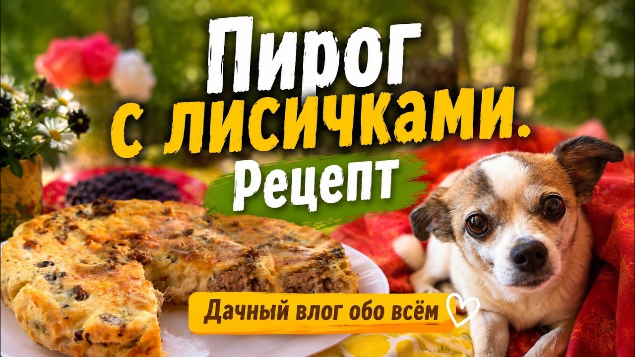 Огород даёт урожай! Пирог с грибами и путешествие в Таллинн. Дачный влог с рецептом