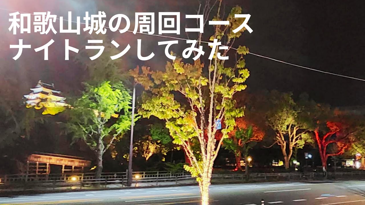 和歌山城の周回コースをナイトランしてみた