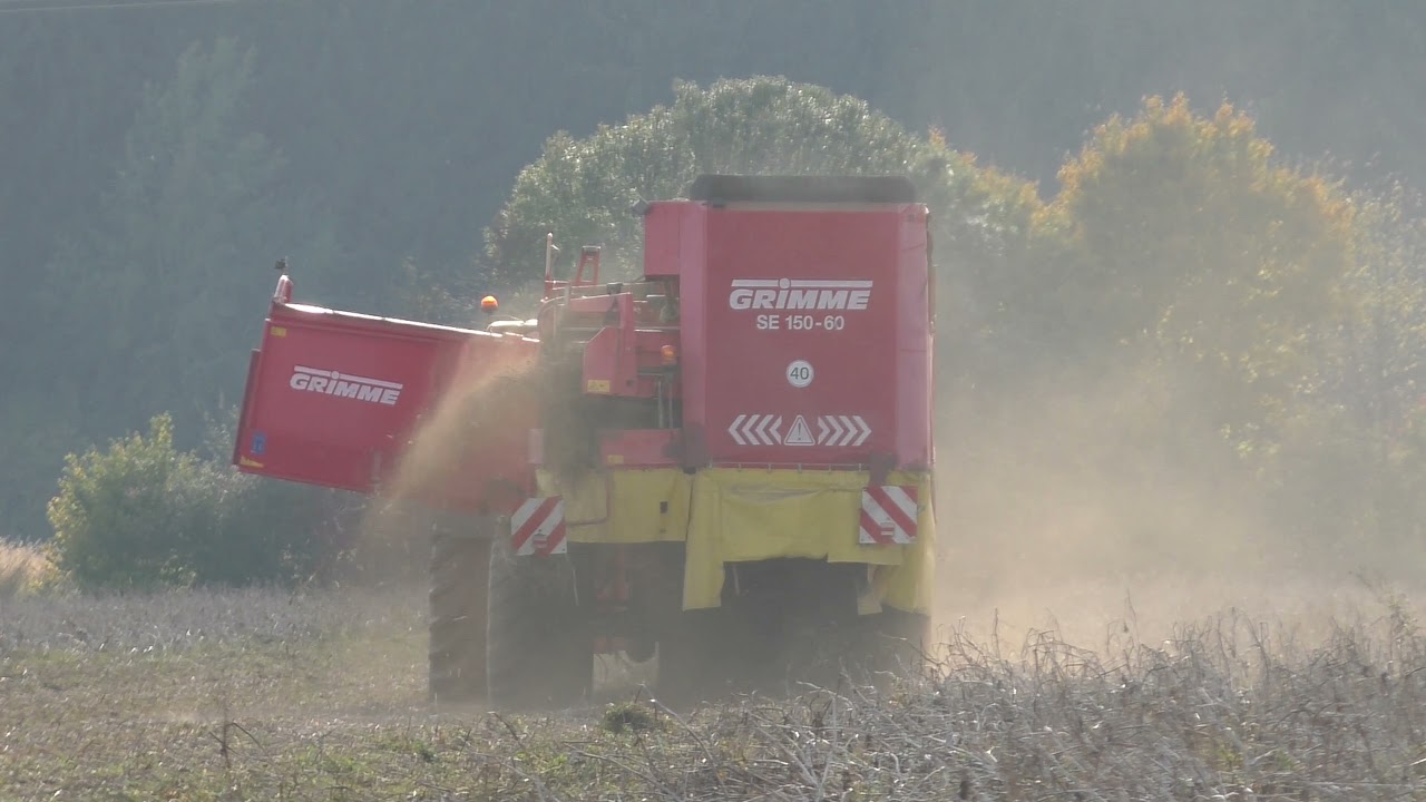 Johnny Deere 6175 R Grimme SF 150 60 Kartoffelernte in Oststeiermark   Einblick in den Betriebsablau