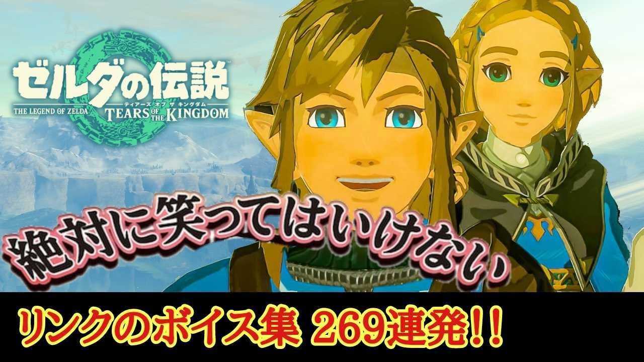 【ゼルダの伝説】リンクさんのボイス集 全部集めてみた！『絶対に笑ってはいけない 269連発‼️』