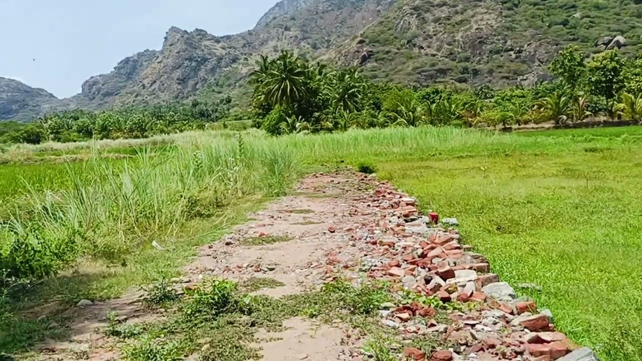 THOVALAI - LOYOLA COLLEGE ROAD ~ Total: 25 Cent,near 4 way Road 📞Call: 8825486622 Nagercoil.