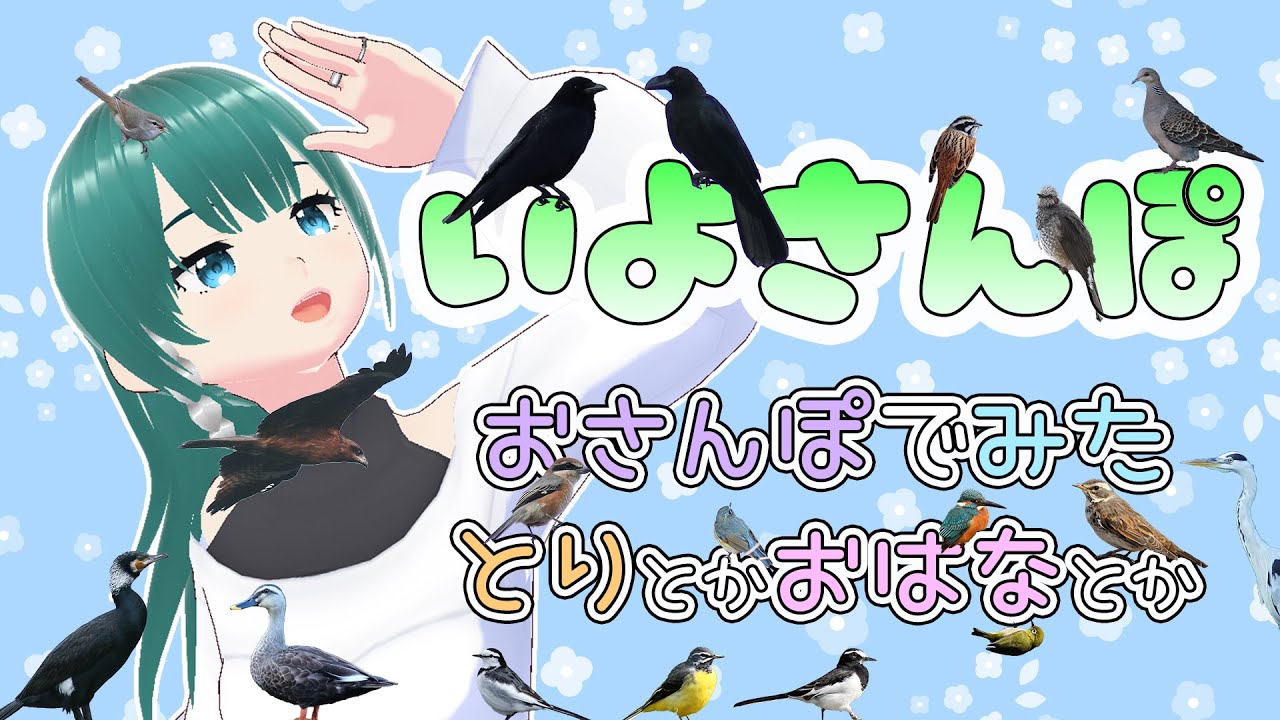 【 #いよさんぽ 】朝のお散歩で見た生き物を紹介！今年最後！散歩納め！【 #39 】