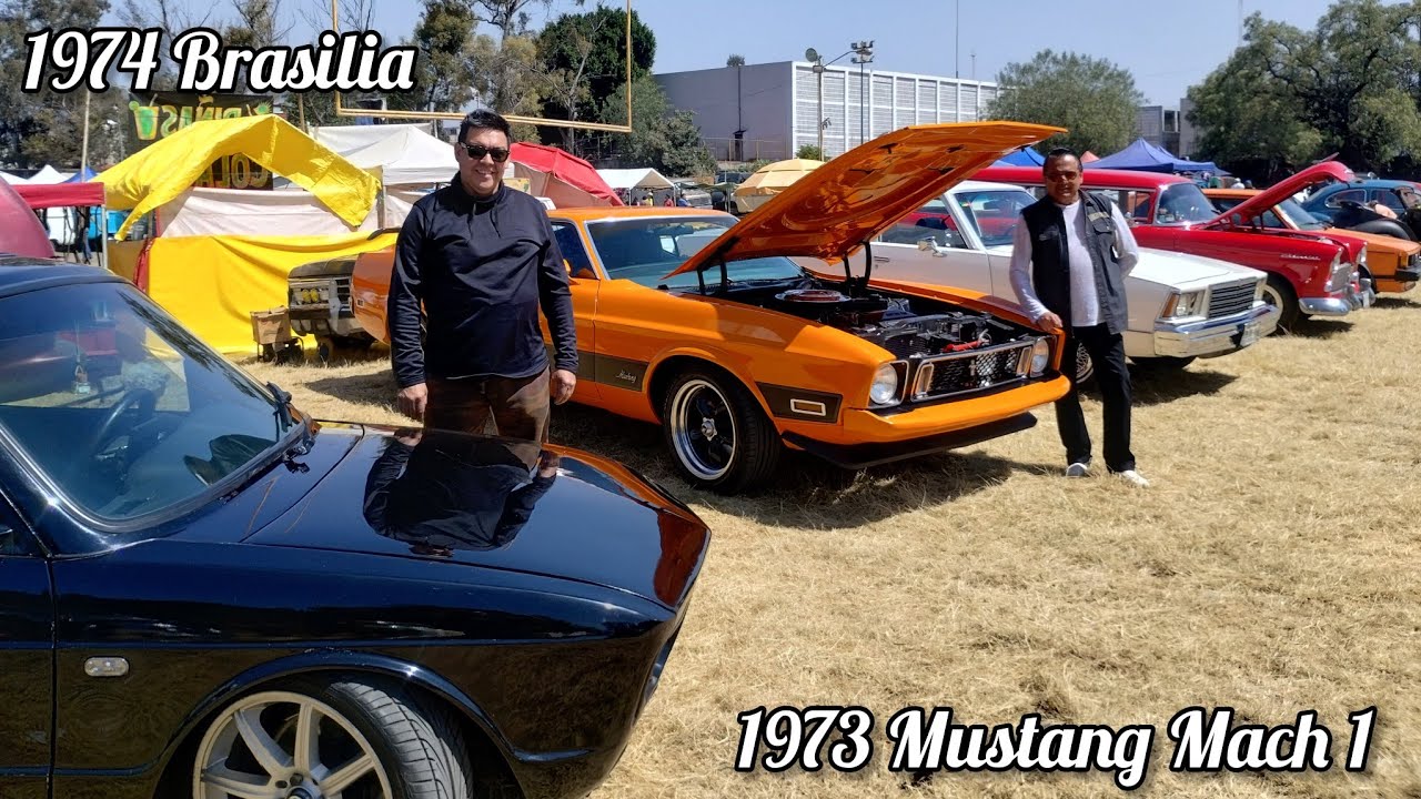 1973 Mustang Mach 1, Brasilia 1974, Malibu Classic 1979, Bel Air Guayin 1955, VW Sedan 1992.