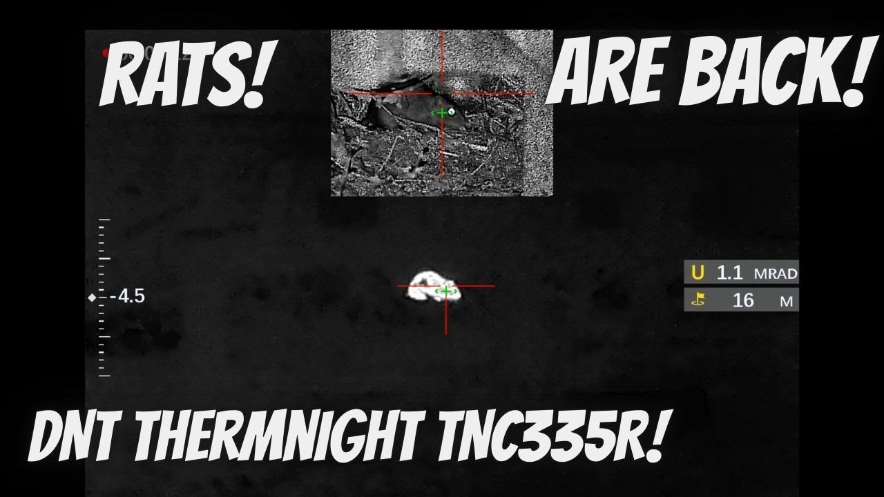 Контроль численности крыс с помощью пневматической винтовки DNT Thermnight TNC335R и прицела FX D...