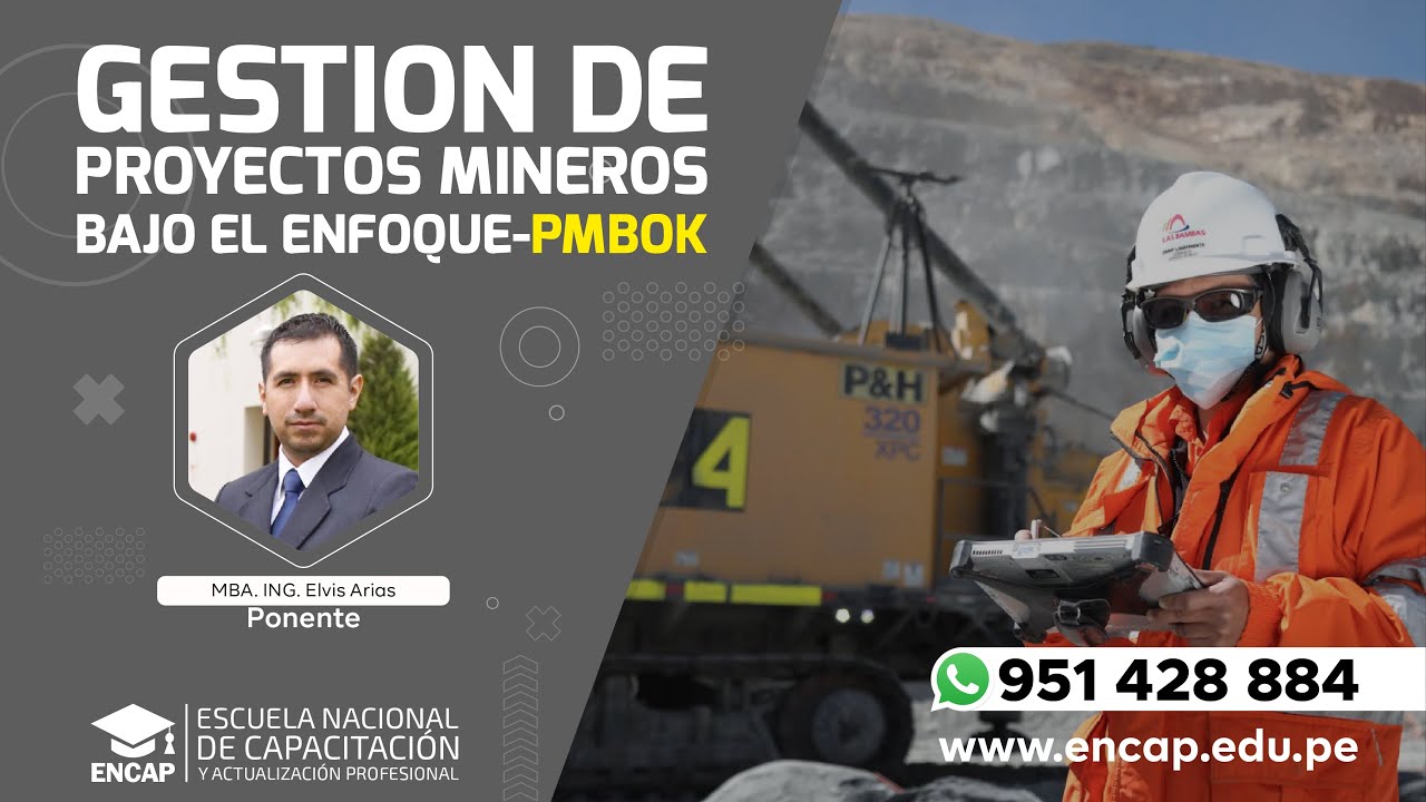 CURSO: GESTIÓN DE PROYECTOS MINEROS BAJO EL ENFOQUE PMBOK 2025