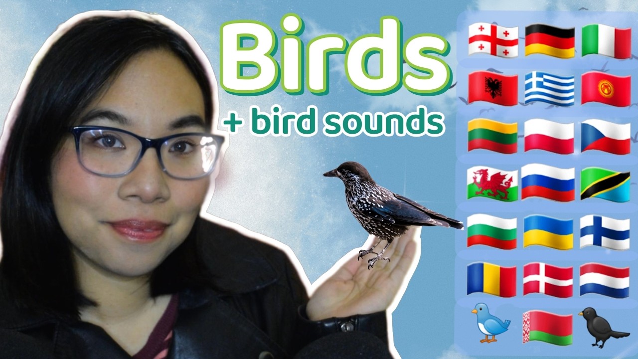 ASMR BIRD IN DIFFERENT LANGUAGES (Bird Sounds, Stuttering, Whispering) 🎵🐦‍⬛[20 Languages]