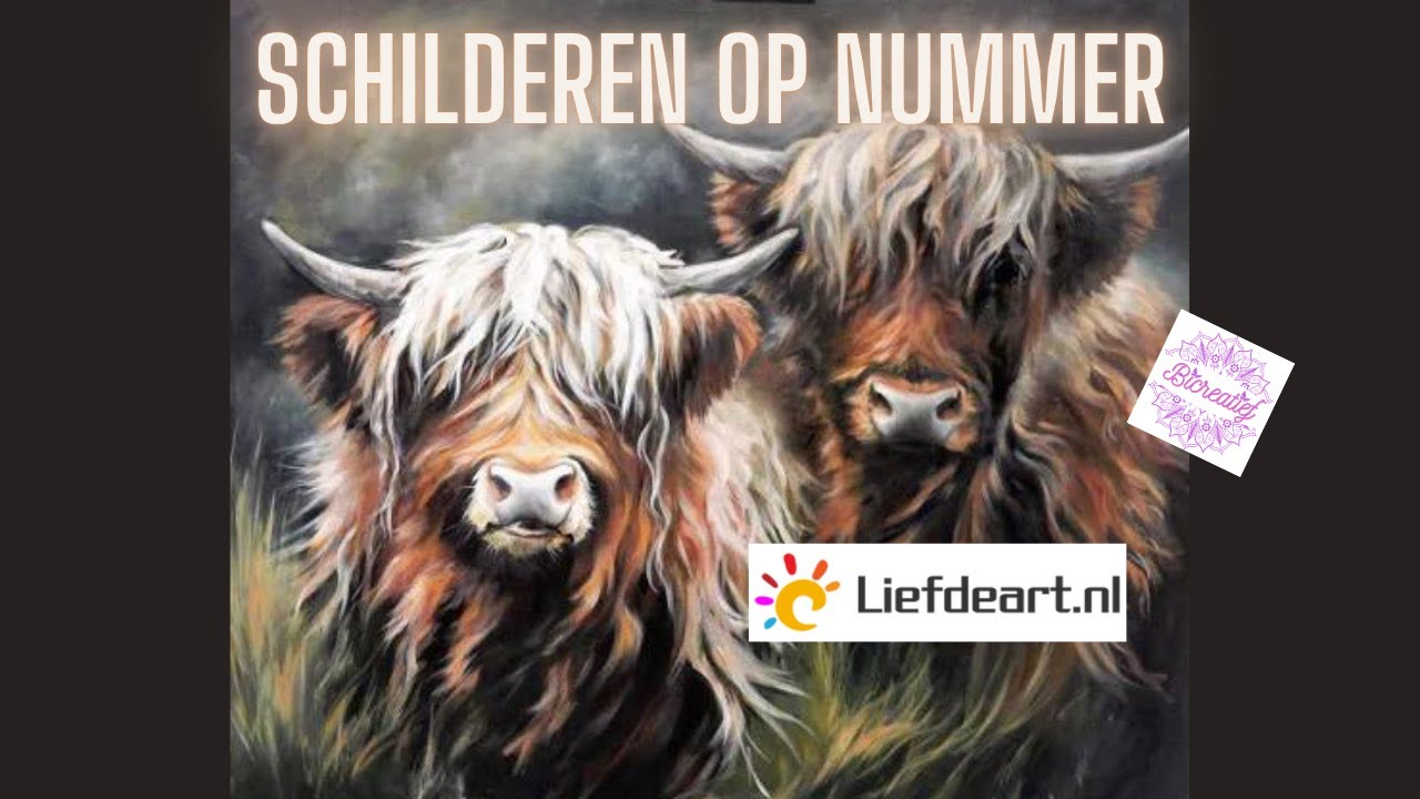 Number Painting | Liefdeart.nl | schilderen op nummer