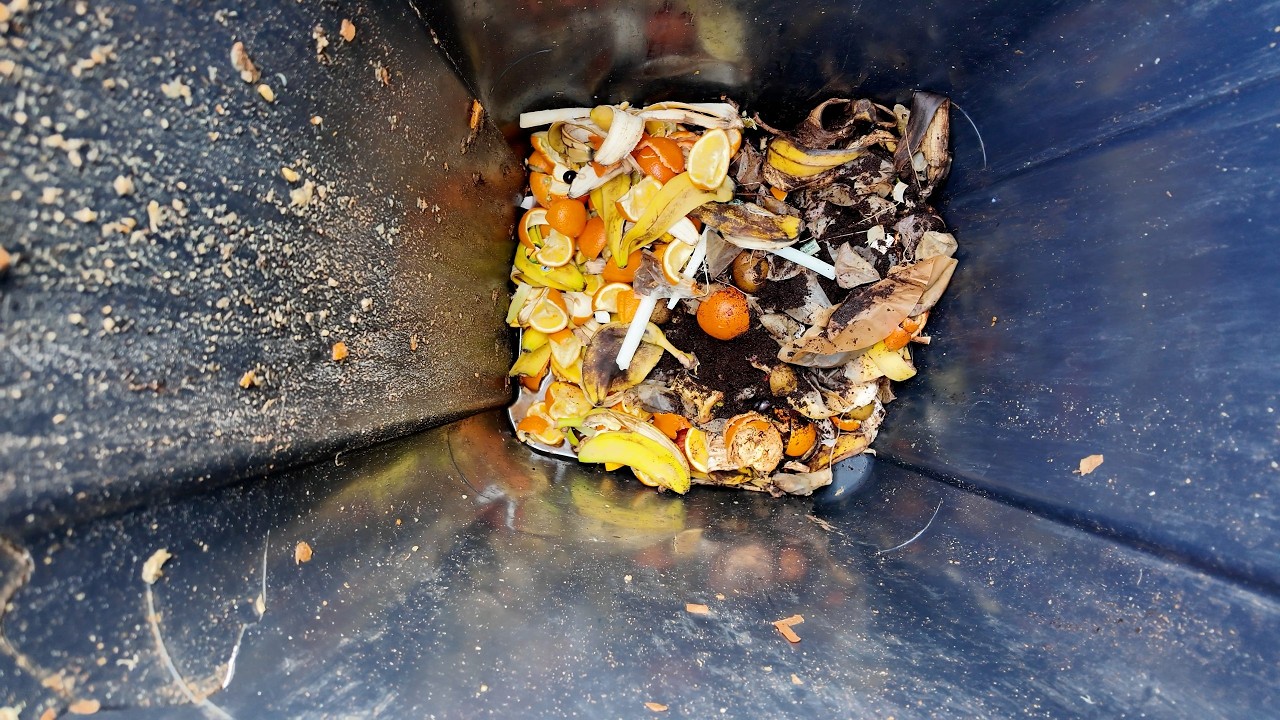 Afval scheiden op scholen succesverhaal Waadhoeke