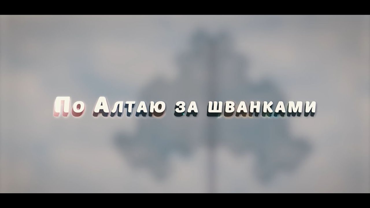 По Алтаю за шванками