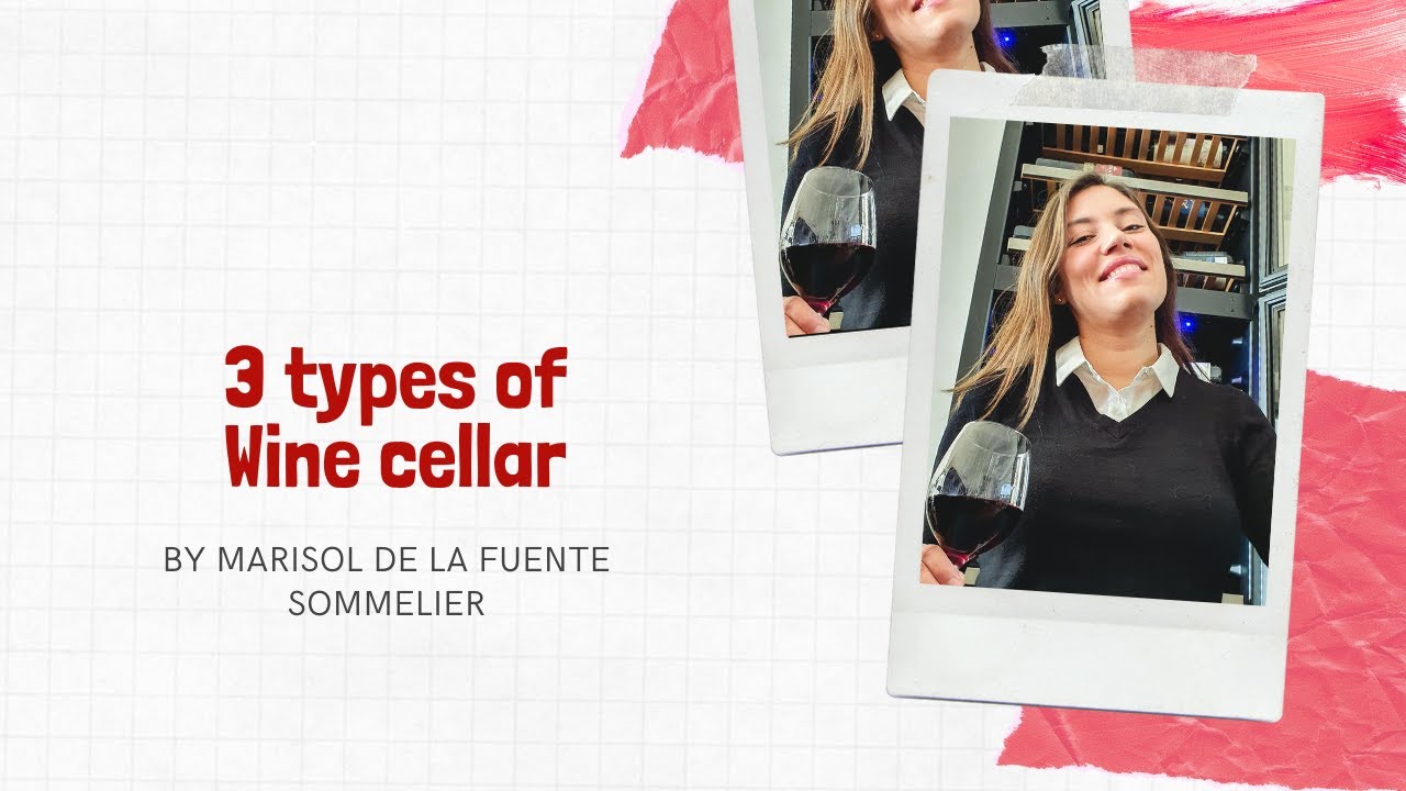 3 types of Wine cellar 🍷⁠