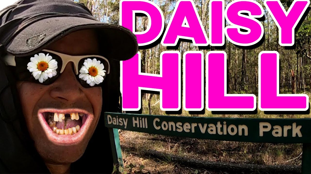 Daisy Hill Forest: Sweaty, Hot & Steamy