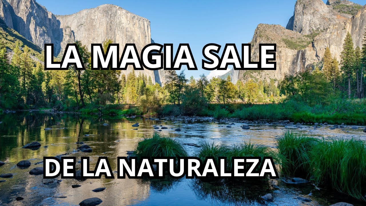 !!   NAURALEZA crea  MAGIA ,y el COLOR te CONTAGIA !!