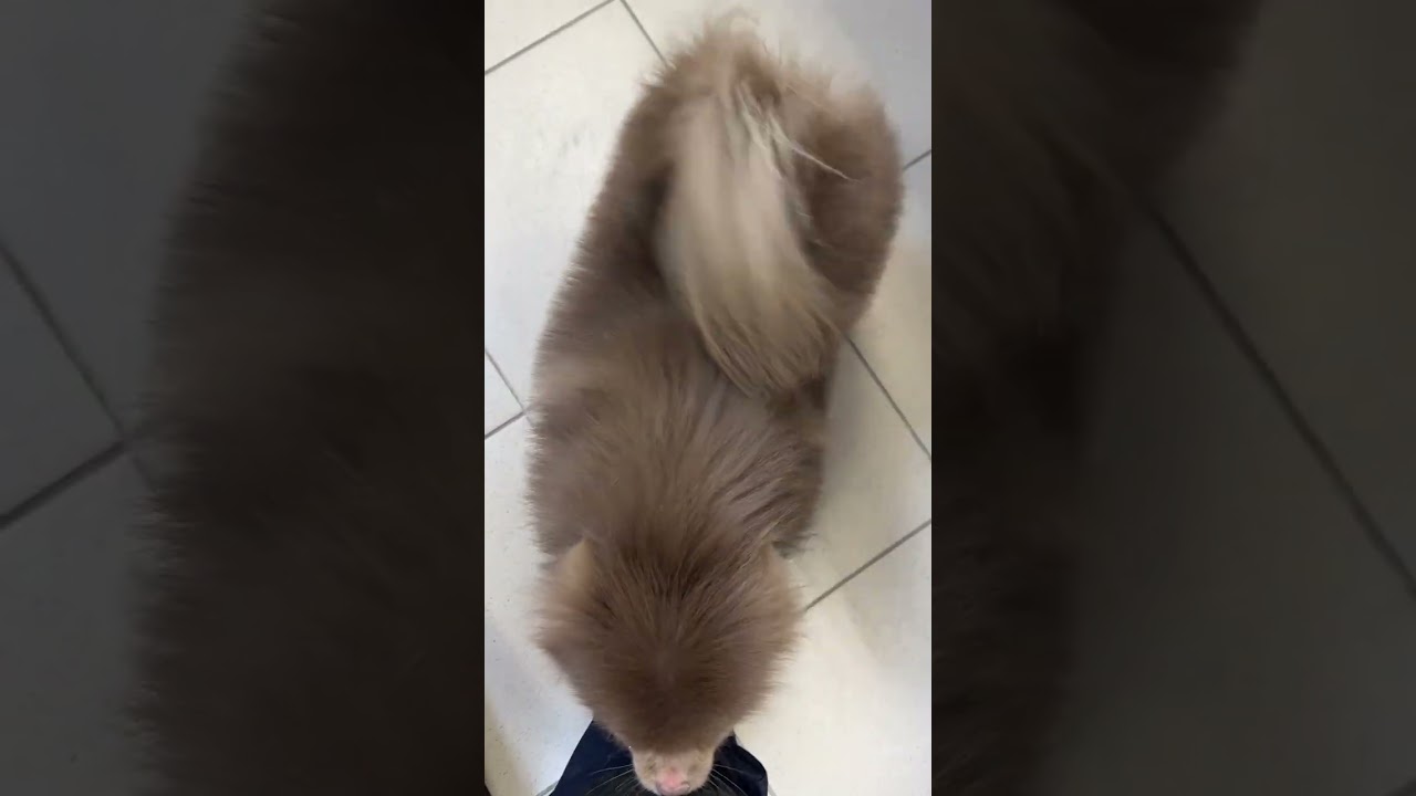 Забираем наших красавчиков 🤗