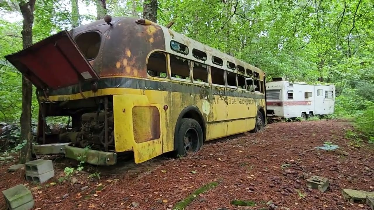 Old school bus in the woods