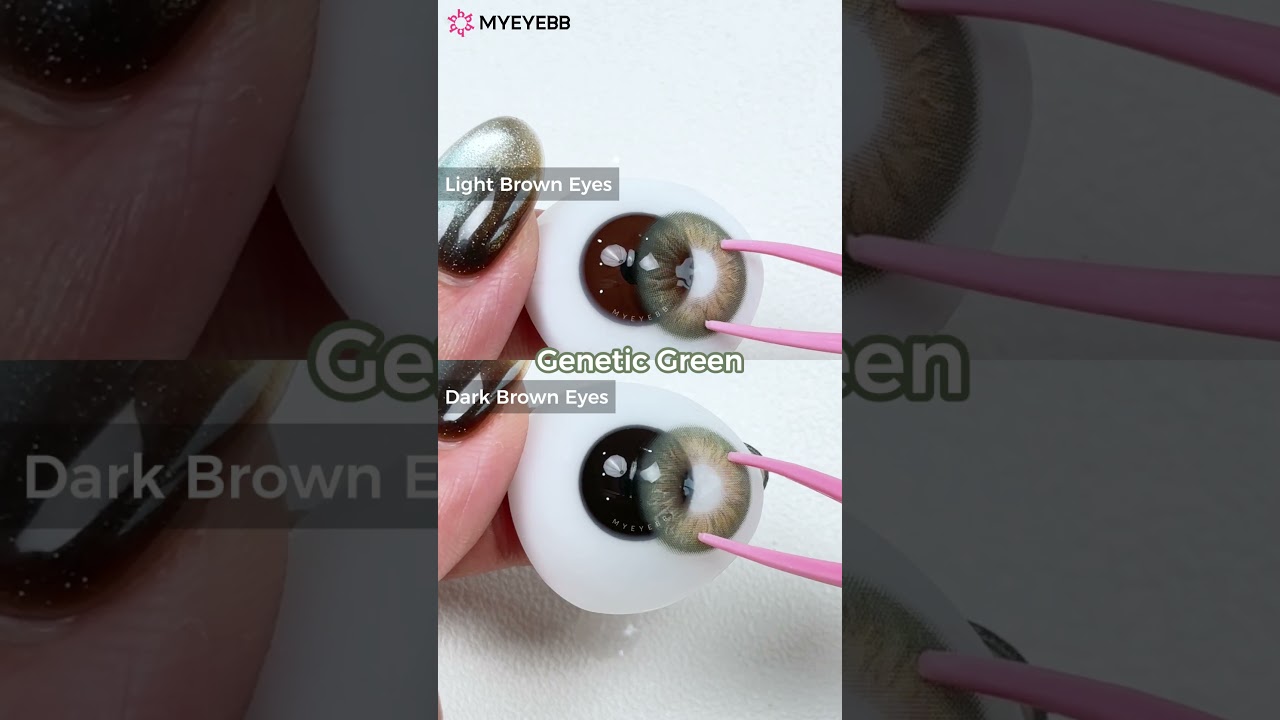 MYEYEBB Genetic Series &mdash; лучшие контактные линзы для темно-карих глаз | 1 год #контактныелинзы