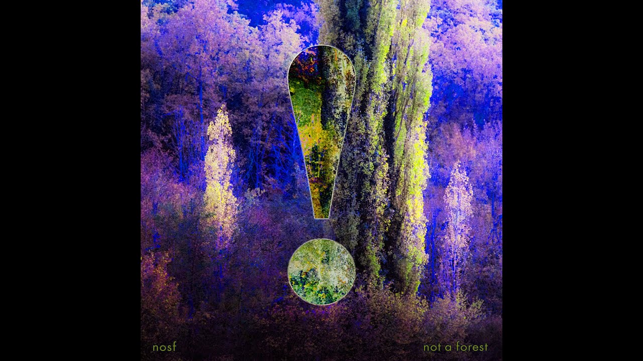 NoSF - Not A Forest (full ambient noise album)