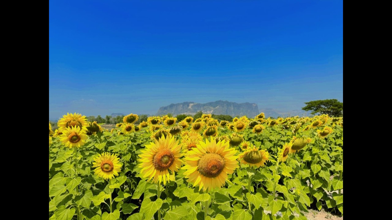 หมู่บ้านแห่งการเรียนรู้เชิงท่องเที่ยว อ.ภูผาม่าน