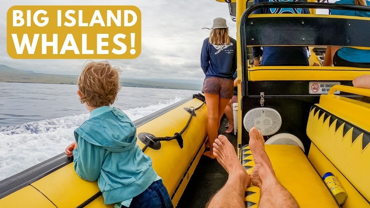 The Best Big Island Whale Watching in Puako Bay (famous for humpback whales!)