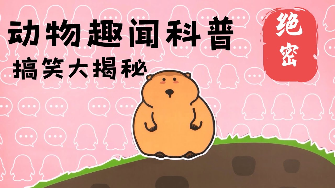 小旱獭挖洞有多萌？地下