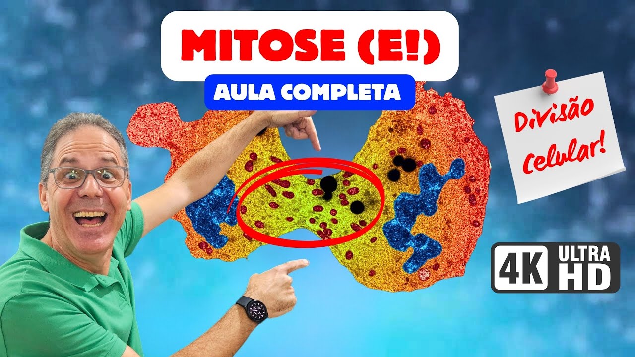 MITOSE: Fases, Divis&atilde;o Celular e Eventos - AULA COMPLETA | Ci&ecirc;ncia Traduzida com Professor Hilton