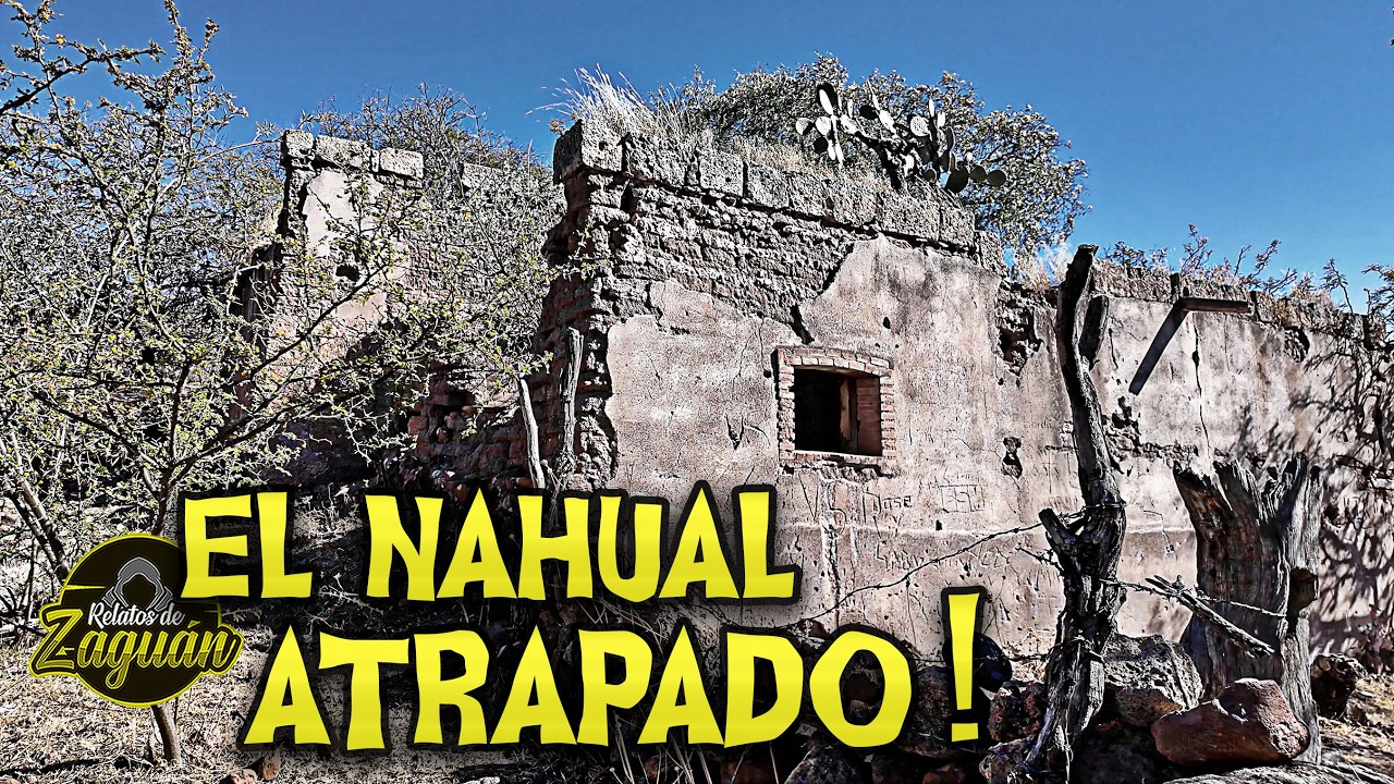 SE OYE GRUÑIR UN ANIMAL PERO SE PONE DE PIE COMO UN HUMANO !!