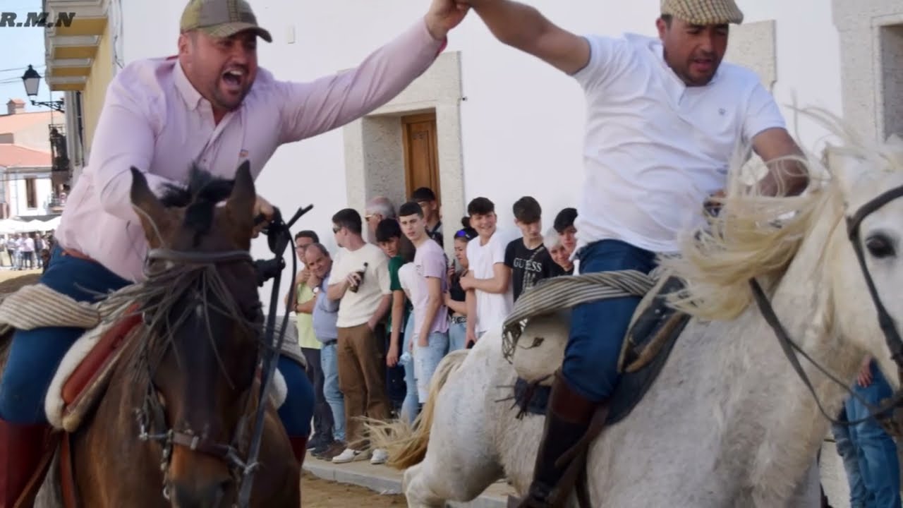 CARRERAS DE CABALLOS 2023  2 P