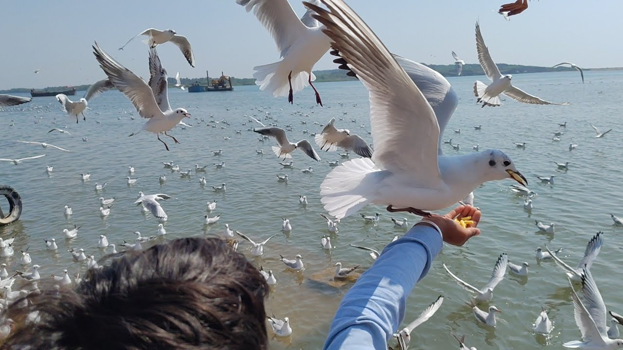 😥लड़का इतना क्यों रो रहा था 😔