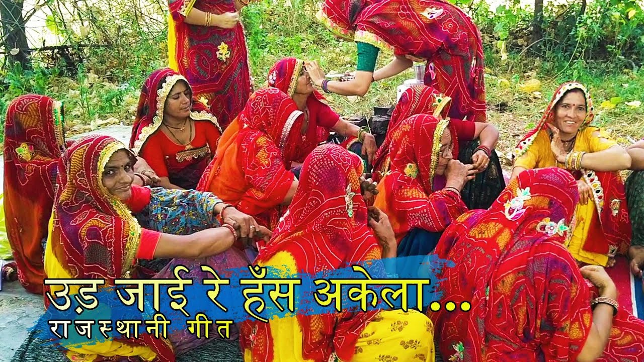 उड़ जाई रे हँस अकेला👌👌#shekhawati geet marwadi | Rajasthani Geet