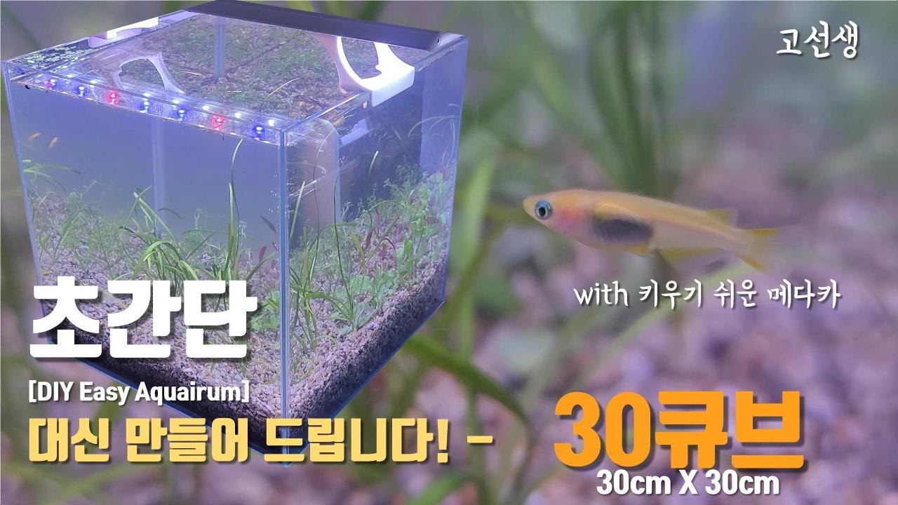 쉽게 입문하세요! 30큐브 어항 With 메다카/ 대신 만들어 드립니다./여과기 없는/How to make Easy Aquarium/No filter/Medaka/めだか 水族館