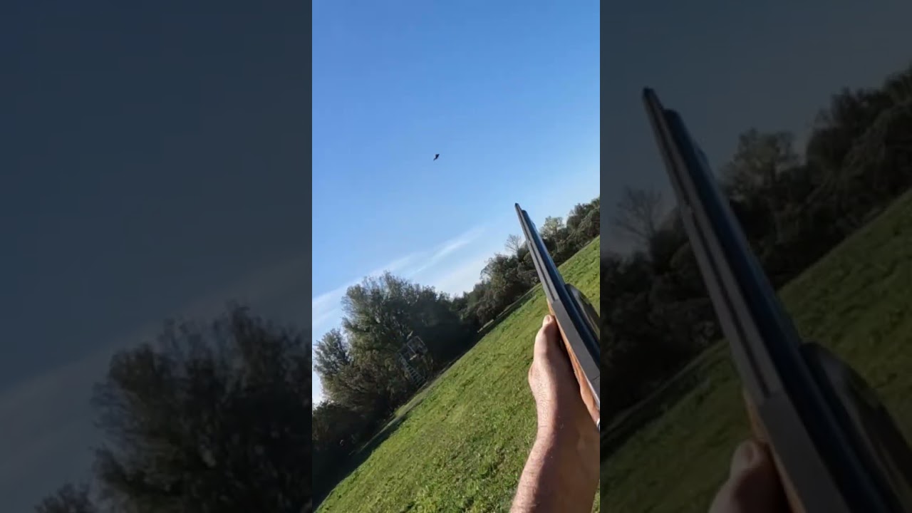 Pretty good shooting if I say so myself! 