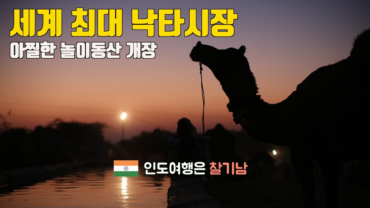 푸쉬카르 낙타축제 영상(Pushkar Camel Fair), 대규모 낙타시장과 함께 놀이공원 개장