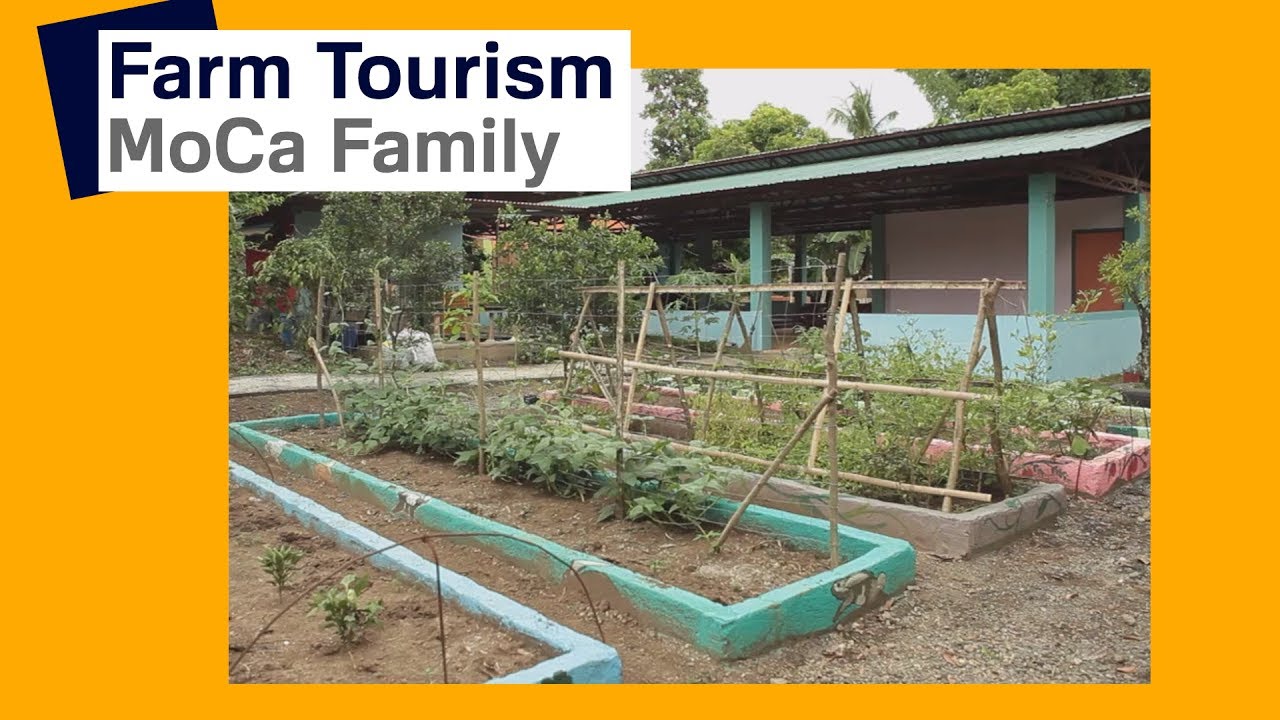 Farm Tourism: MoCa Family