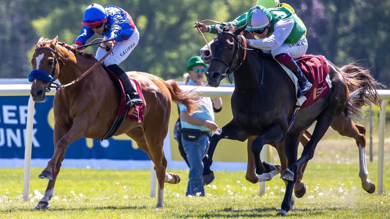 Berlin Hoppegarten: Comer Group International 54. Oleander-Rennen 2025 Sieger: Flatten The Curve