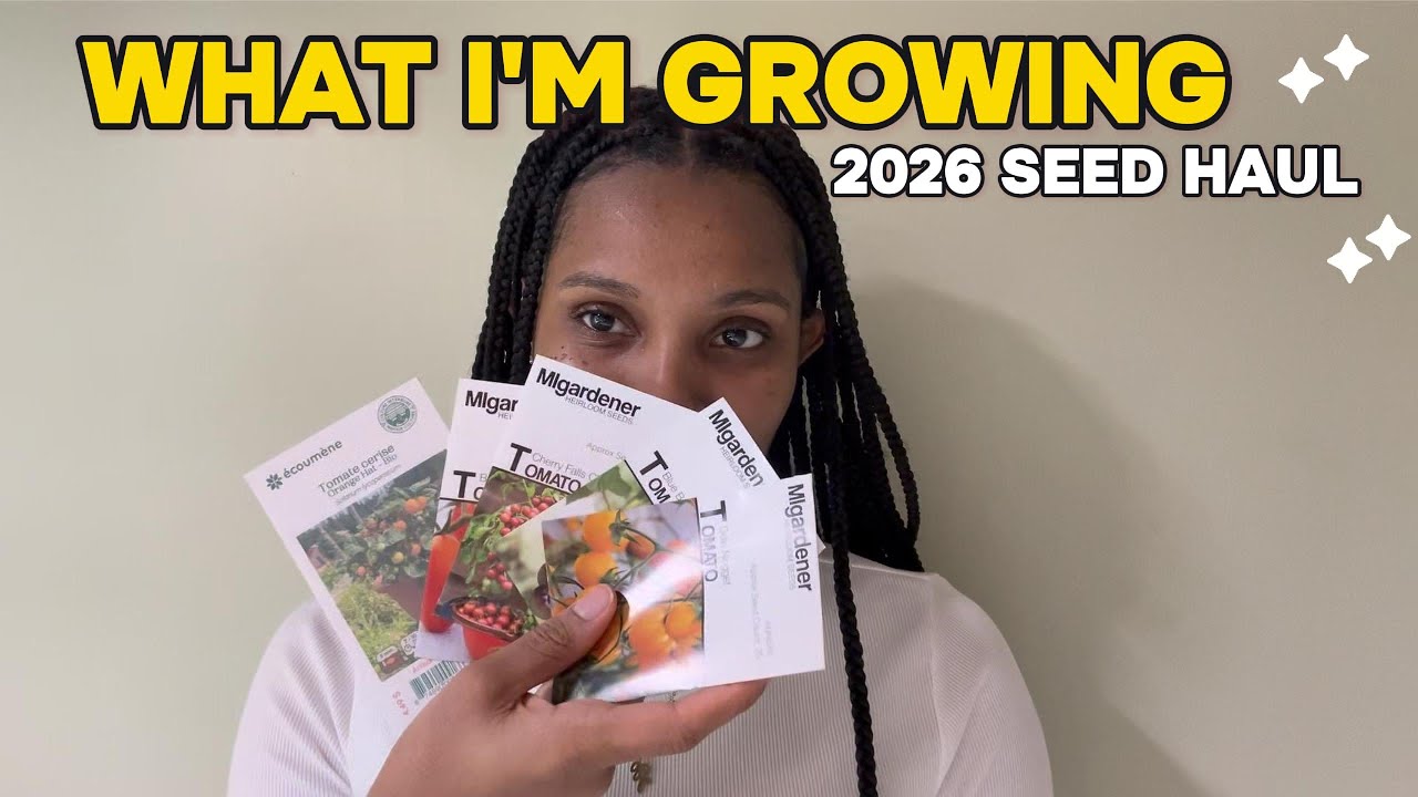 What I’m Growing This Year 🌱 | Seed Haul for an Urban Garden