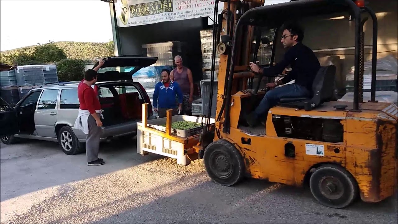 Het persen van de olijven tot extra vergine olijfolie.