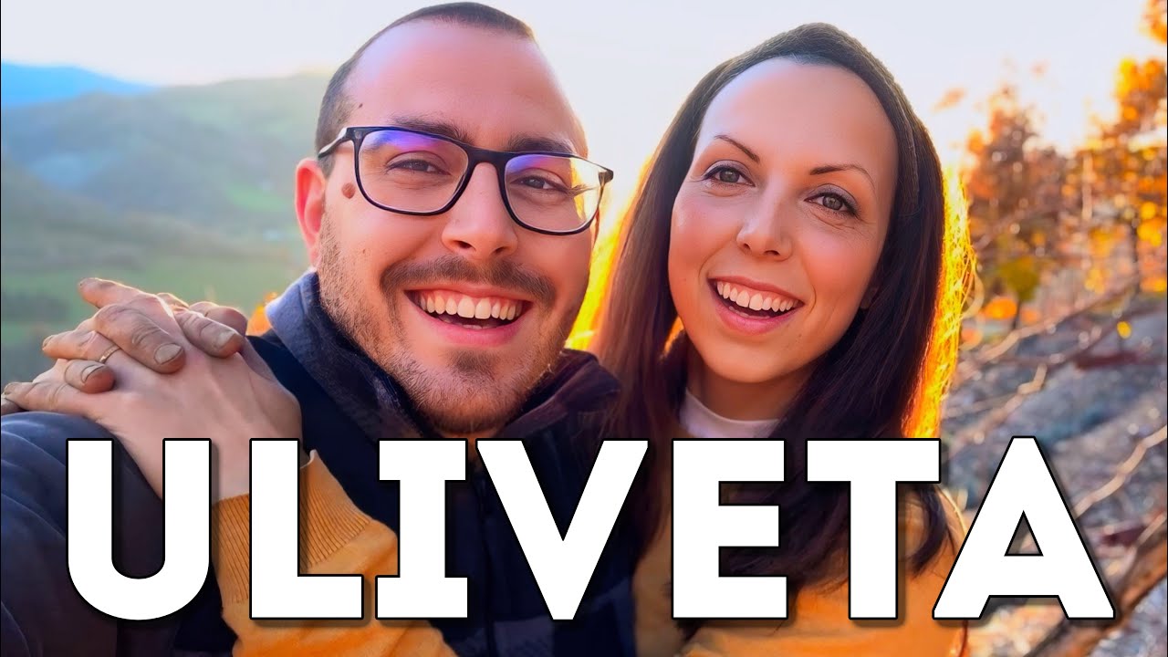 Piantare un uliveto da zero | Scelte, distanze e primi lavori