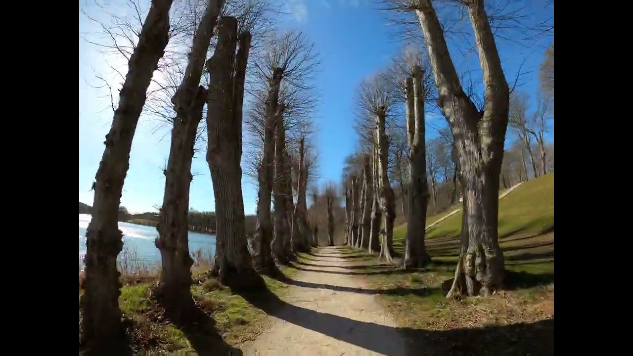 Rehasense PAWS Tourer De Fem Halder