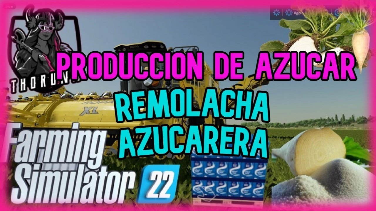 GUIA DE PRODUCCION DE AZUCAR | REMOLACHA AZUCARERA | FS22