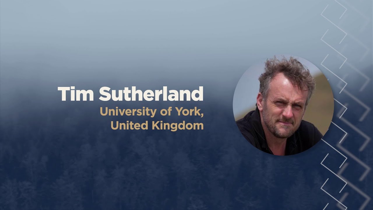 Tim Sutherland: ‘Medieval-Viking Dead’ / „Keskaja viikingite surnud“