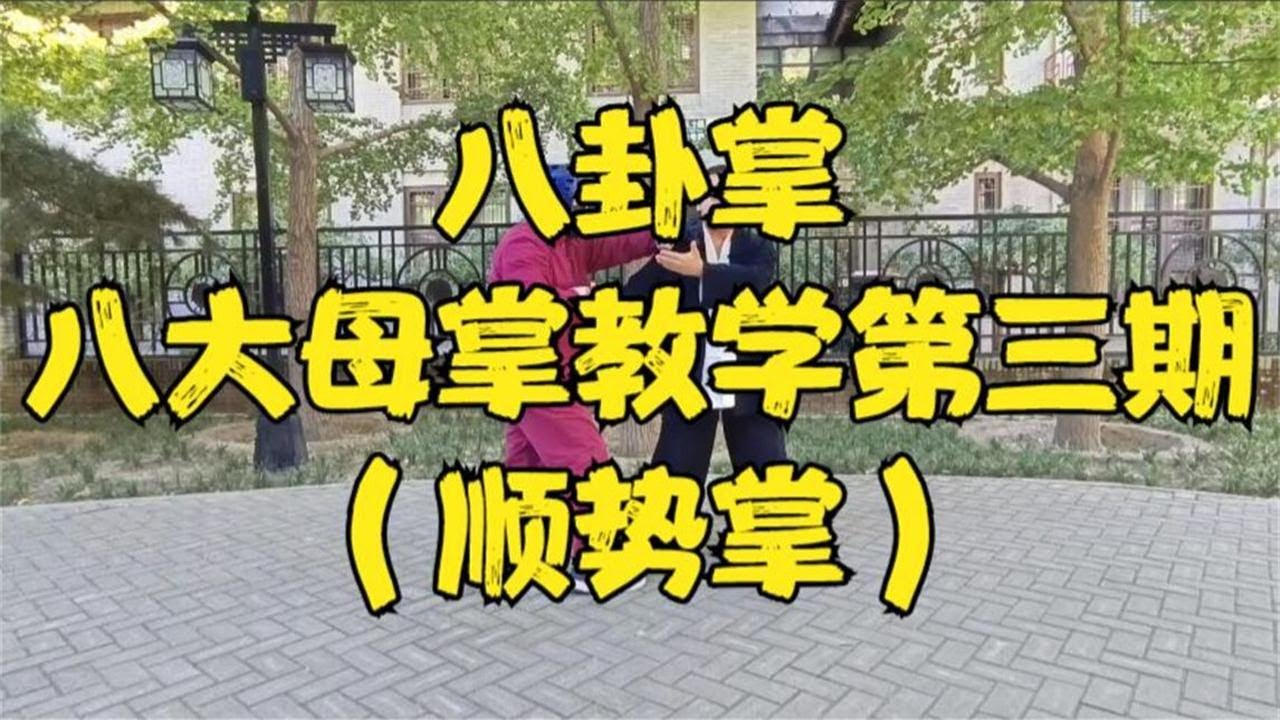 【八卦掌】八大母掌教学第三期——顺势掌！