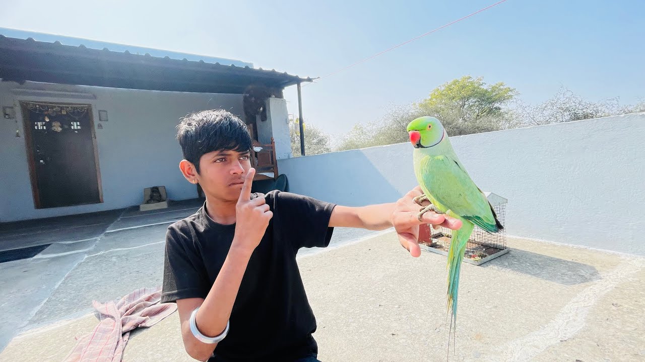 Lokesh Tote Ko Bolana Sikha Rha Hai 😅