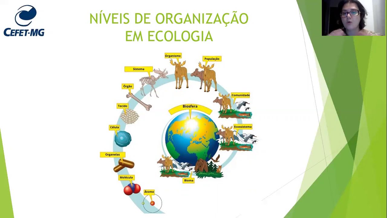 aula introdução ecologia