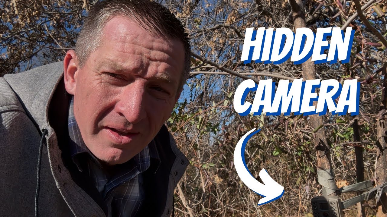 Hidden Camera Results From The Abandoned Homestead 