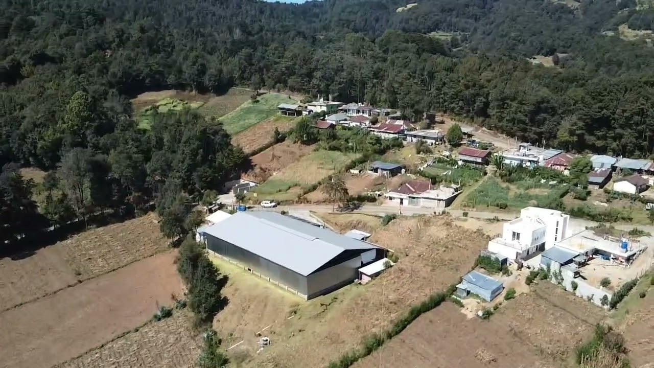 6 de enero de 2026